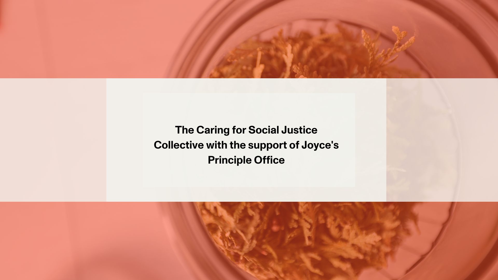 RALLY in memory of Joyce Echaquan RÉSEAU de la communauté autochtone